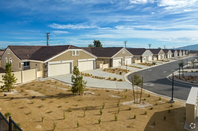 Olive Tree Apartments - Olive Tree Apartments