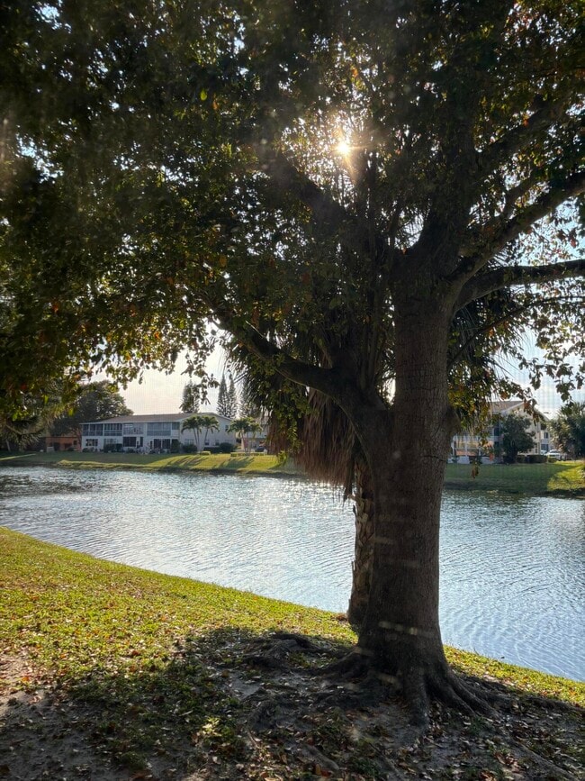 Building Photo - 75 Sheffield D