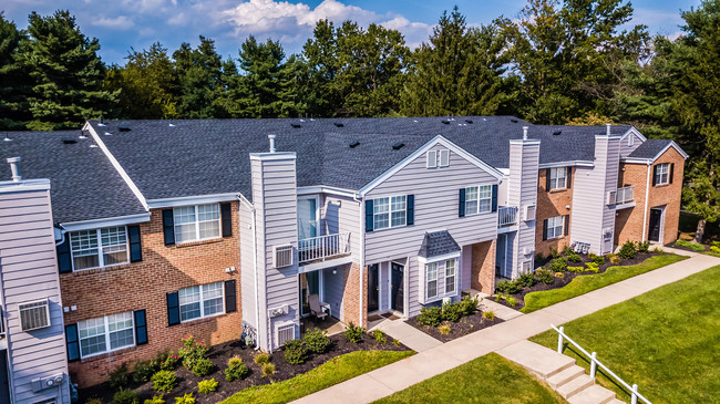 Tree Lined Exterior - Stirling Court Apartments