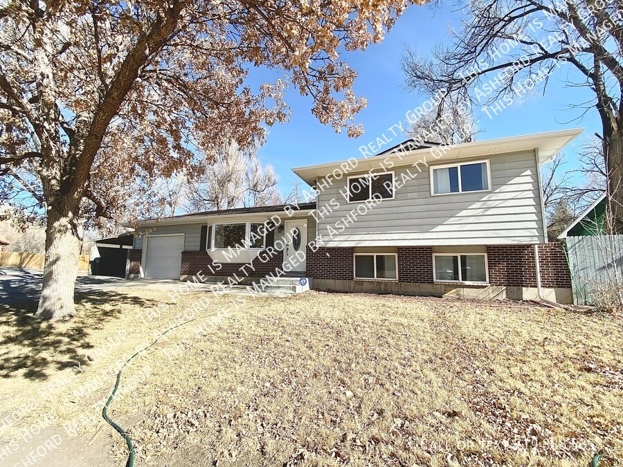 Photo - 303 Quebec St