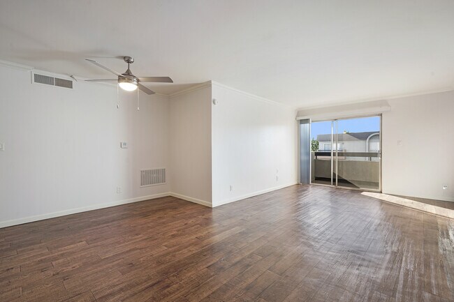 Photo - Hollywood Sycamore