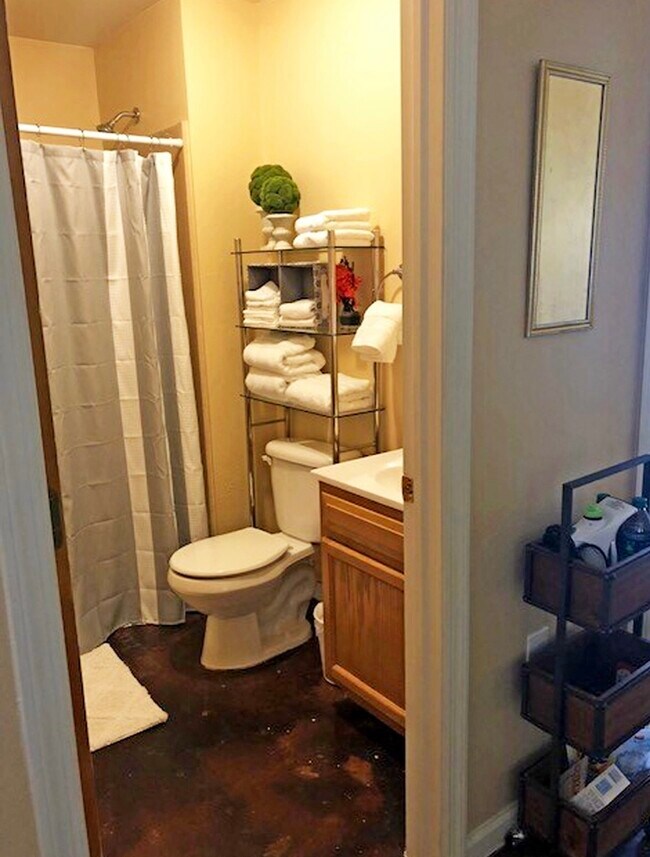 Photo - University Park Apartments