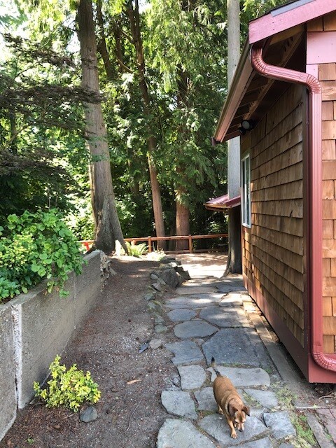 entry. Studio on right. Huge deck and cottage behind it. - 9313 26th Pl NW House