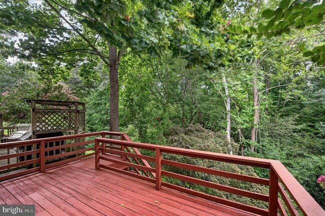 Photo - 14560 Creek Branch Ct