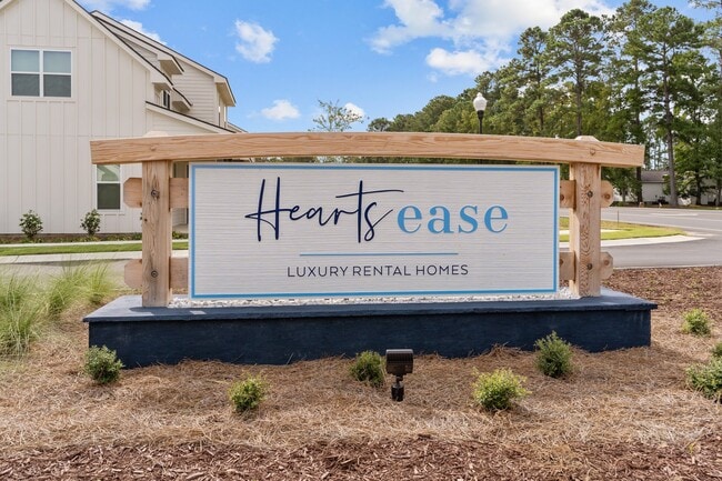 Heartsease at Calabash