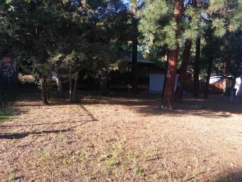 Photo - 1701 W Hall St