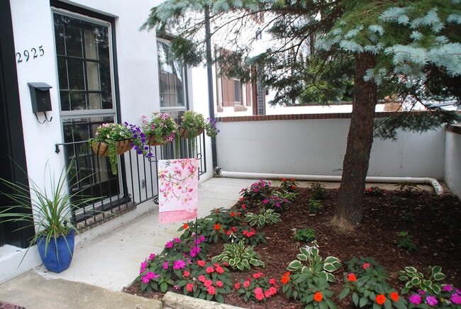 Photo - 2925 Espana Ct