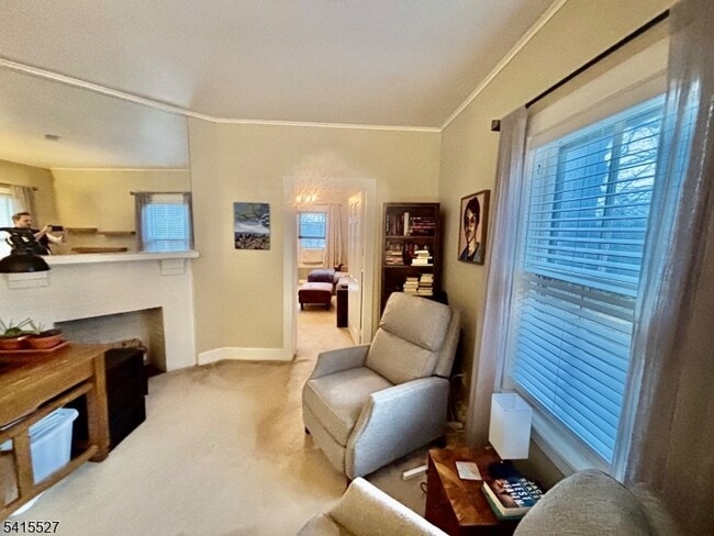 Photo - 196 Mt Kemble Ave