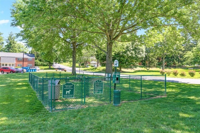 Off-Leash Bark Park