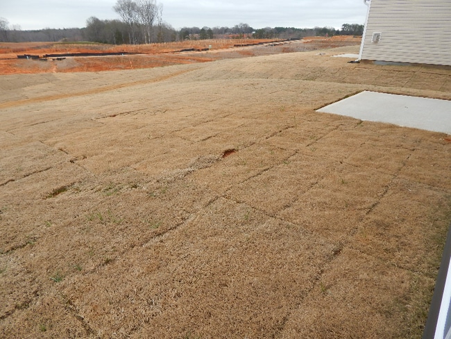 Photo - 736 Wolverine Ln