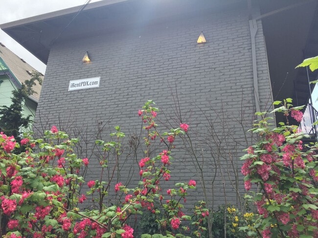 Photo - Upper 2 bed on Belmont! Hardwood floors, granite counters, tile in shower! All dogs welcome! Unidad 3130