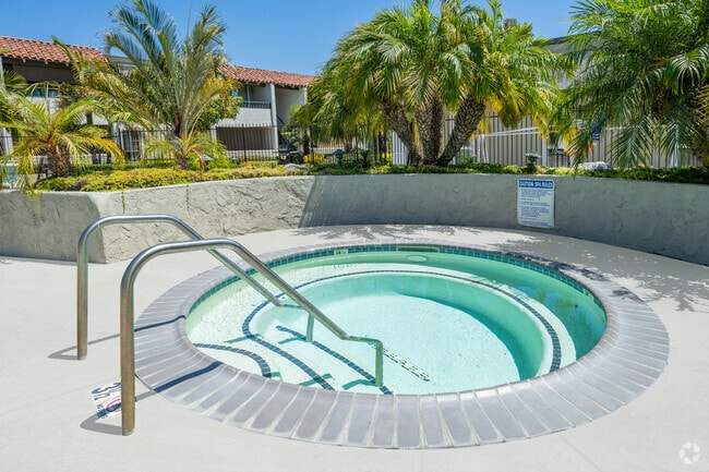 Pool and Spa - Park Pacific