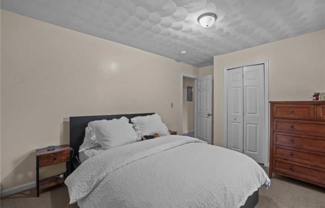 Photo - 177 Russo St