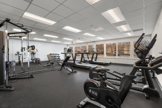 Photo - Autumn Woods