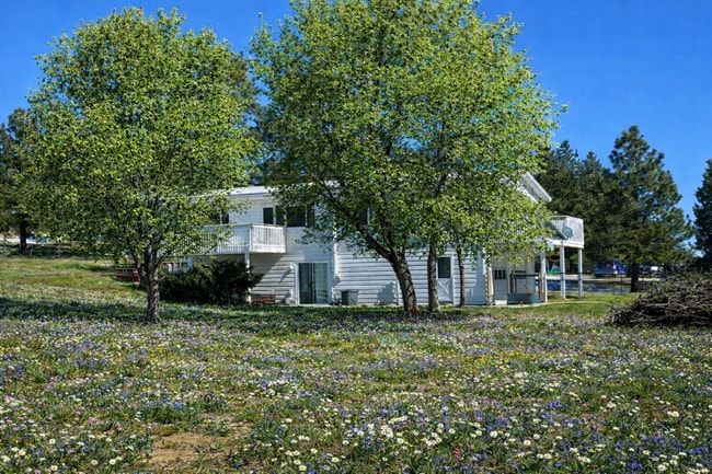 Back and side view of the house - 1290 Starling Ln