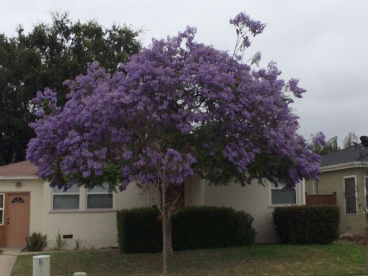 Photo - 4735 Winona Ave