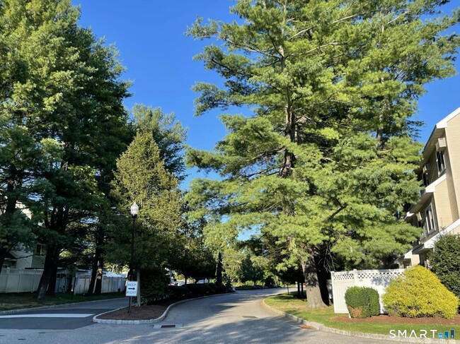 Photo - 237 Willow Springs Unit 237