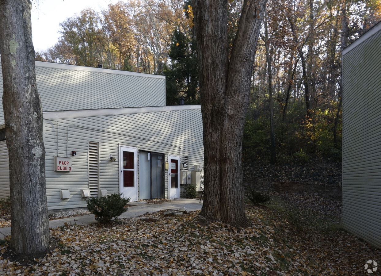 Photo - Stonewall II