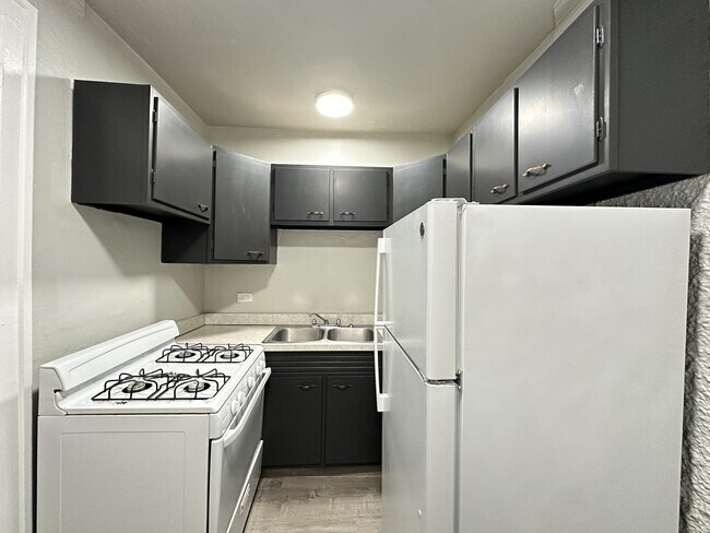 Building Photo - 1314 N Dearborn St