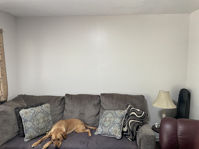 Photo - 820 Matthews St Townhome