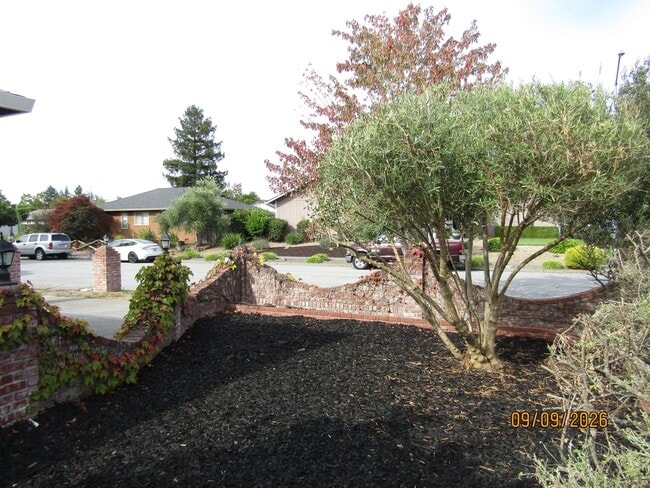 2354 Pinercrest Dr