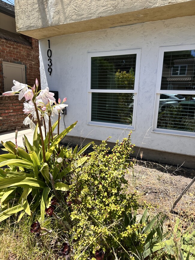 Photo - 1039 Mound St