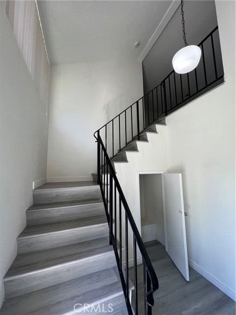 221 Grayson Way