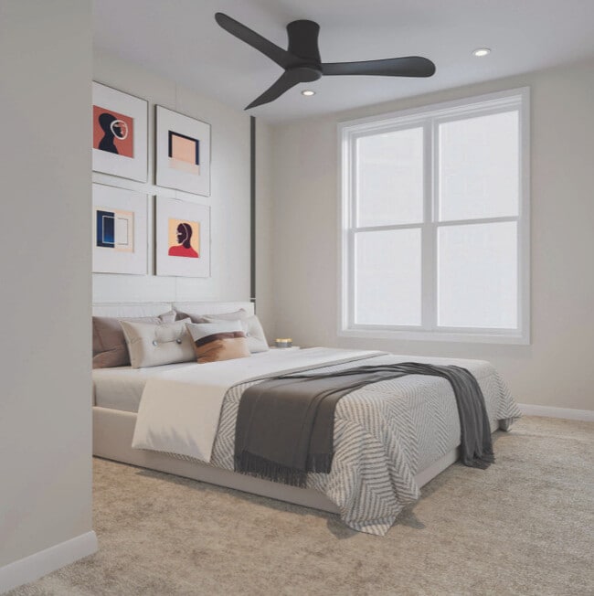 Photo - Salix on Vine