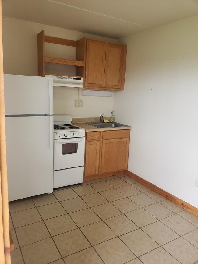 Efficiency kitchen - Potsdam Main Street Apartments