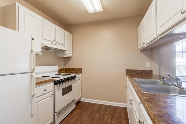 Photo - Charlotte Spring