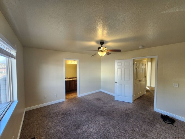 Photo - All new paint - super clean and move in ready.