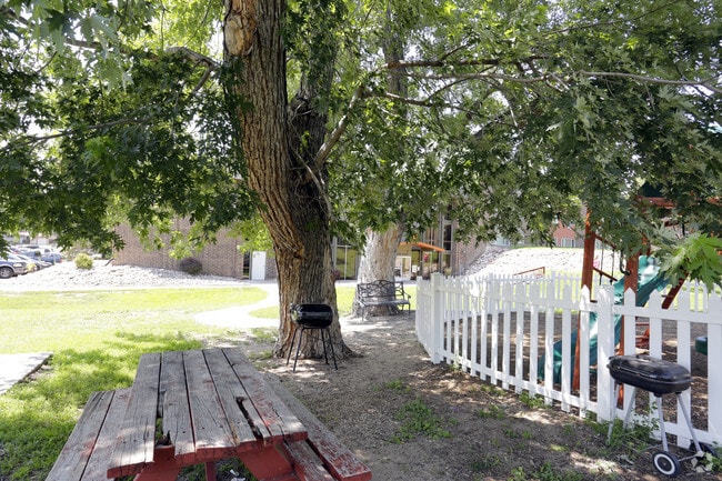 Y barbacoa; Área de pícnic