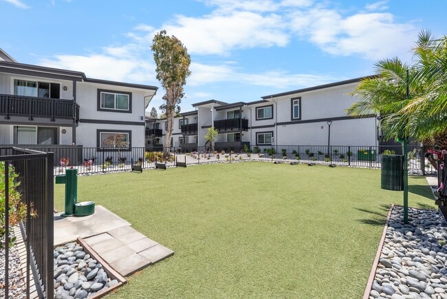 Surf House Apartments
