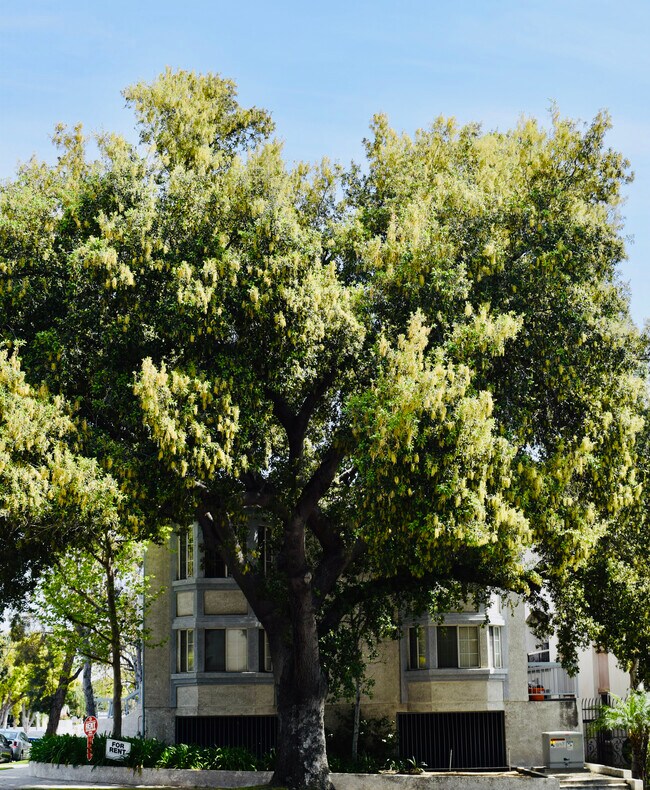 Photo - 101 S 7th St