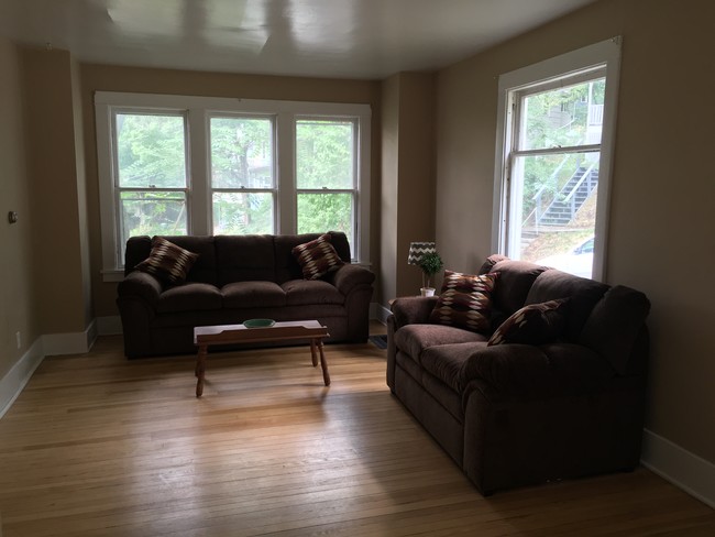 Living room - 506 S Cayuga St Apartments Unit 1