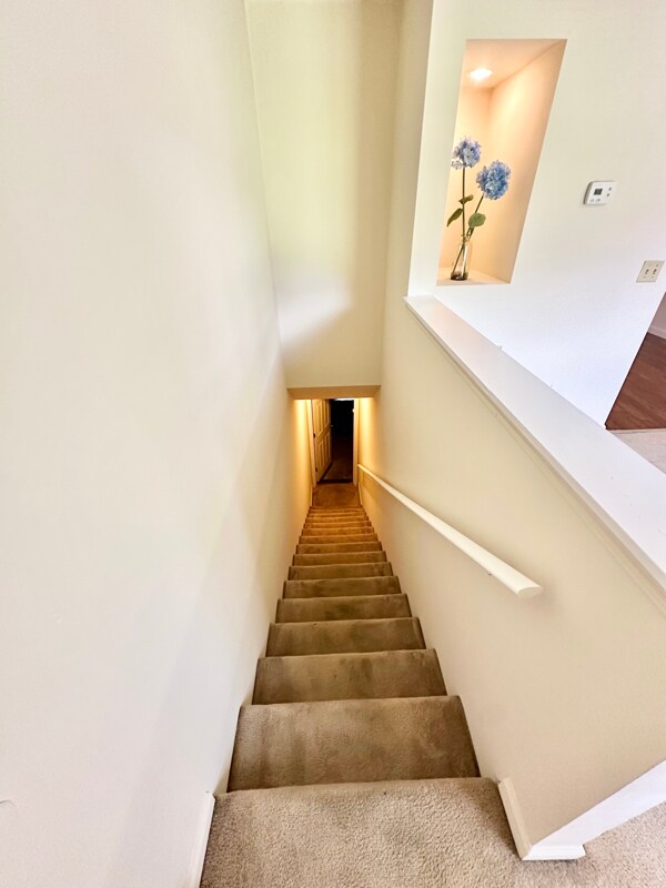 Photo - 805 Old Gray Station Rd