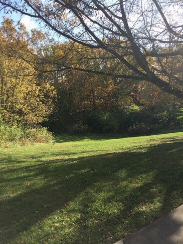 complex back yard - Harbauer Lane Townhomes