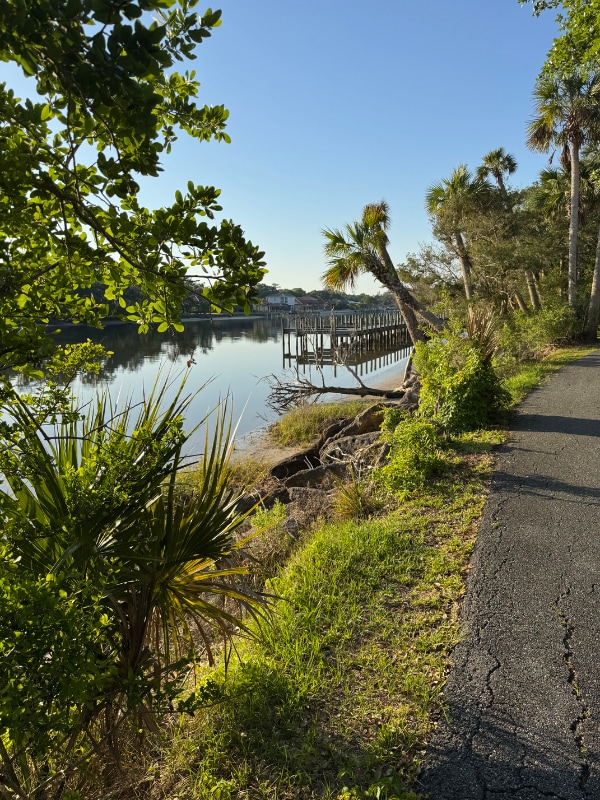 Photo - 100 Palm Harbor Pkwy