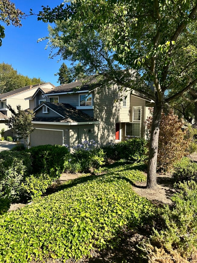 Building Photo - 11501 Treeline Pl Rental