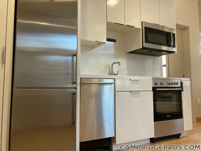 Photo - 115 Mt Auburn St Unidad 15