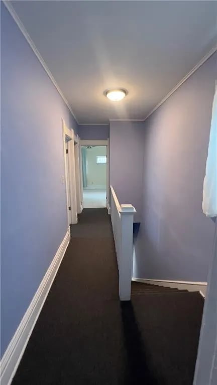 Photo - 523 Tracy Ave