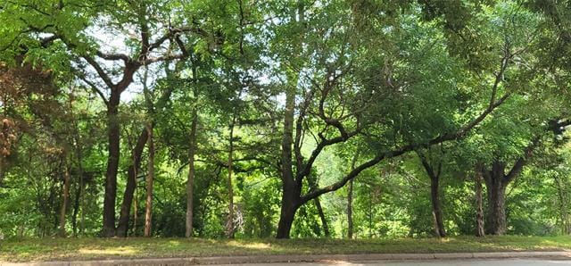 Photo - 1516 W Five Mile Pkwy