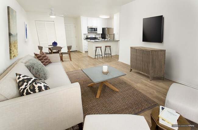 Modern Apartment Living and Dining Areas