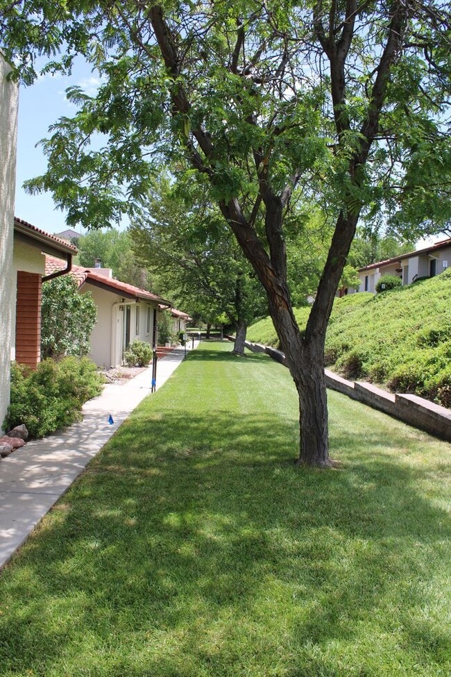 Photo - 439 Foxfire Ln