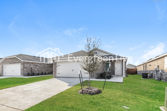 Photo - 2012 Belgian Dr