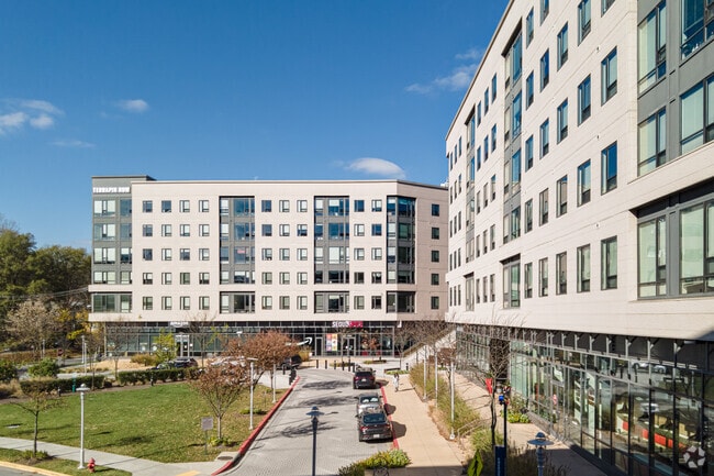 Photo - Terrapin Row