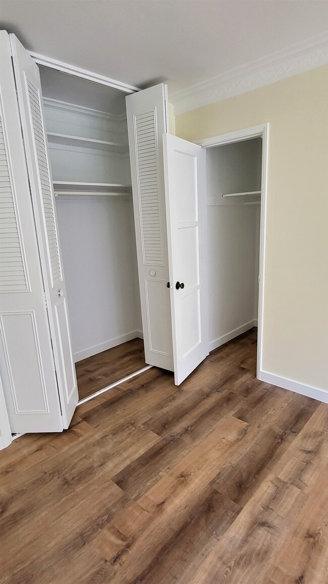 Spacious main room closets - 409