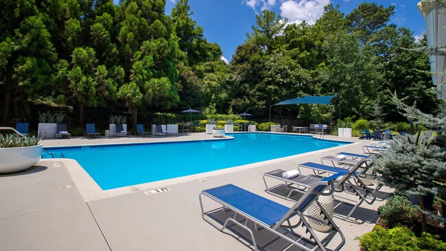 Enjoy every moment at our chic poolside retreat. - 12th and James Luxury Apartments