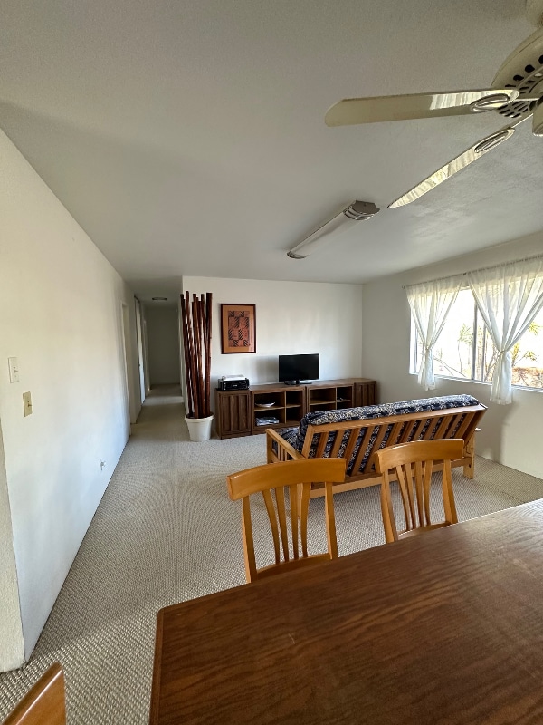 Photo - 173 Kuhilani St