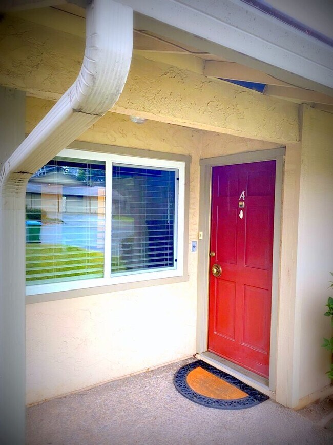 Photo - Beautiful Shaded Neighborhood in North Chi...